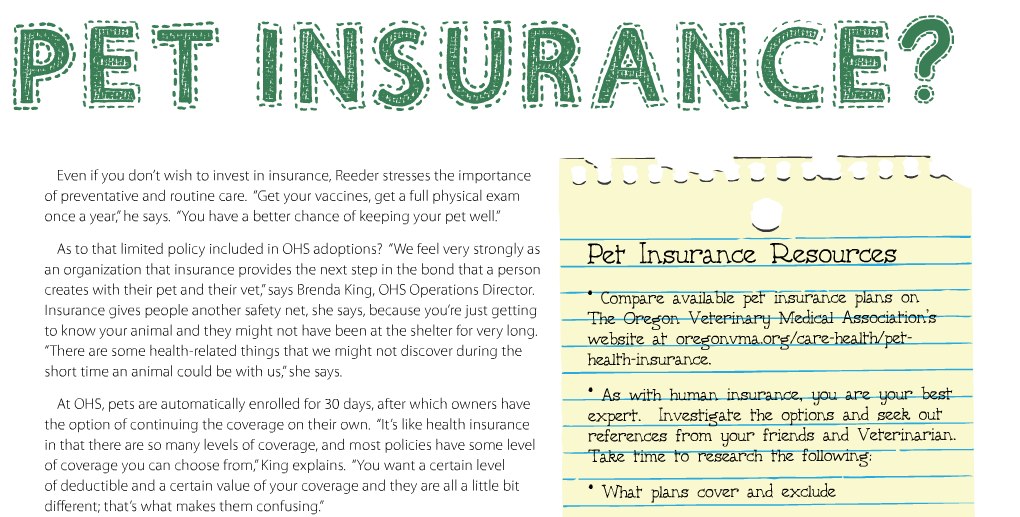 Spot-Dec2013-Jan2014-Insurance-3