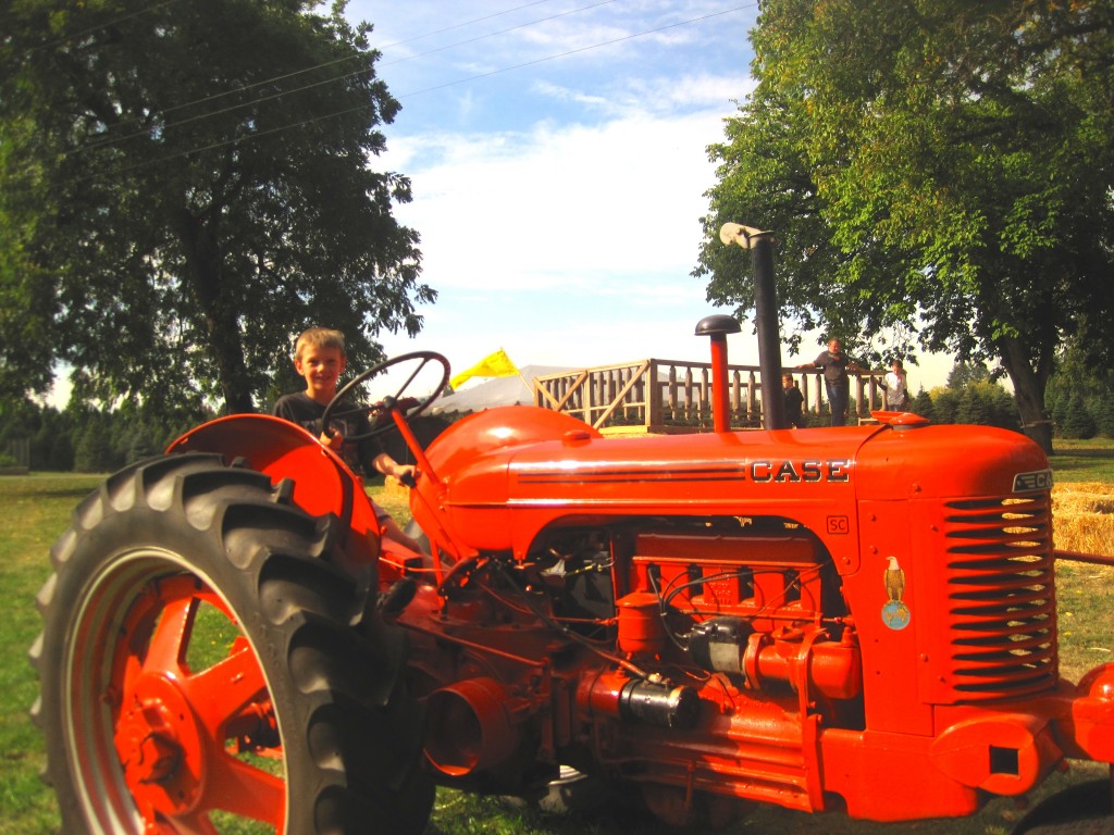 A vintage tractor attracts 7-year-old James Hoopman, a Pleasant Hill boy visiting the farm on a warm fall day. Photo by Vanessa Salvia.