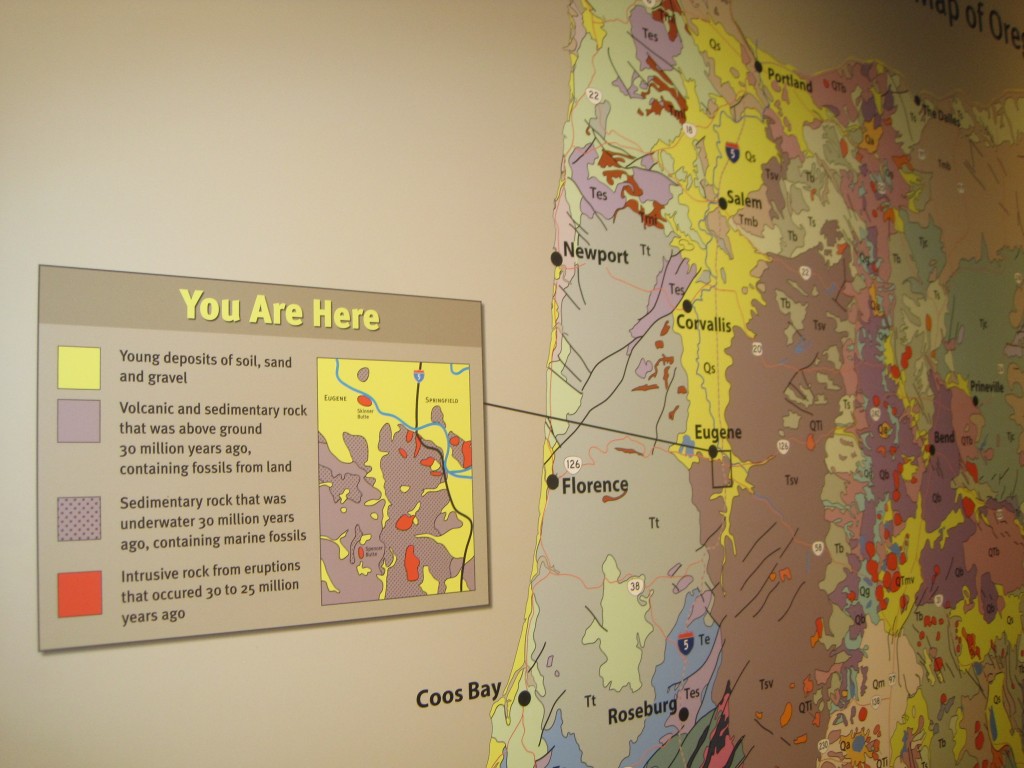An exhibit at the University of Oregon Museum of Natural and Cultural History places Eugene in its larger geologic context. Photo by Vanessa Salvia