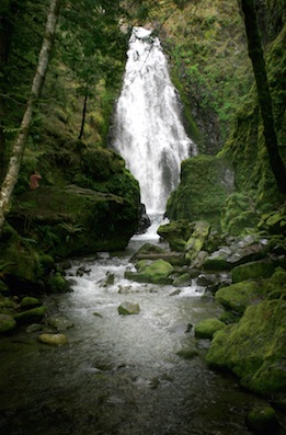 Susan Creek Falls | photo by Jamey Davidsmeyer